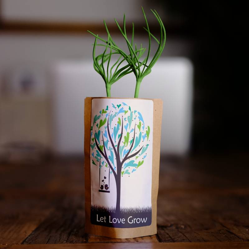 Nurture Our Roots with 100 Trees – “Let Love Grow”